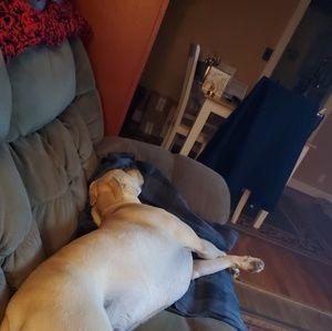 Meet your Posher, Beth